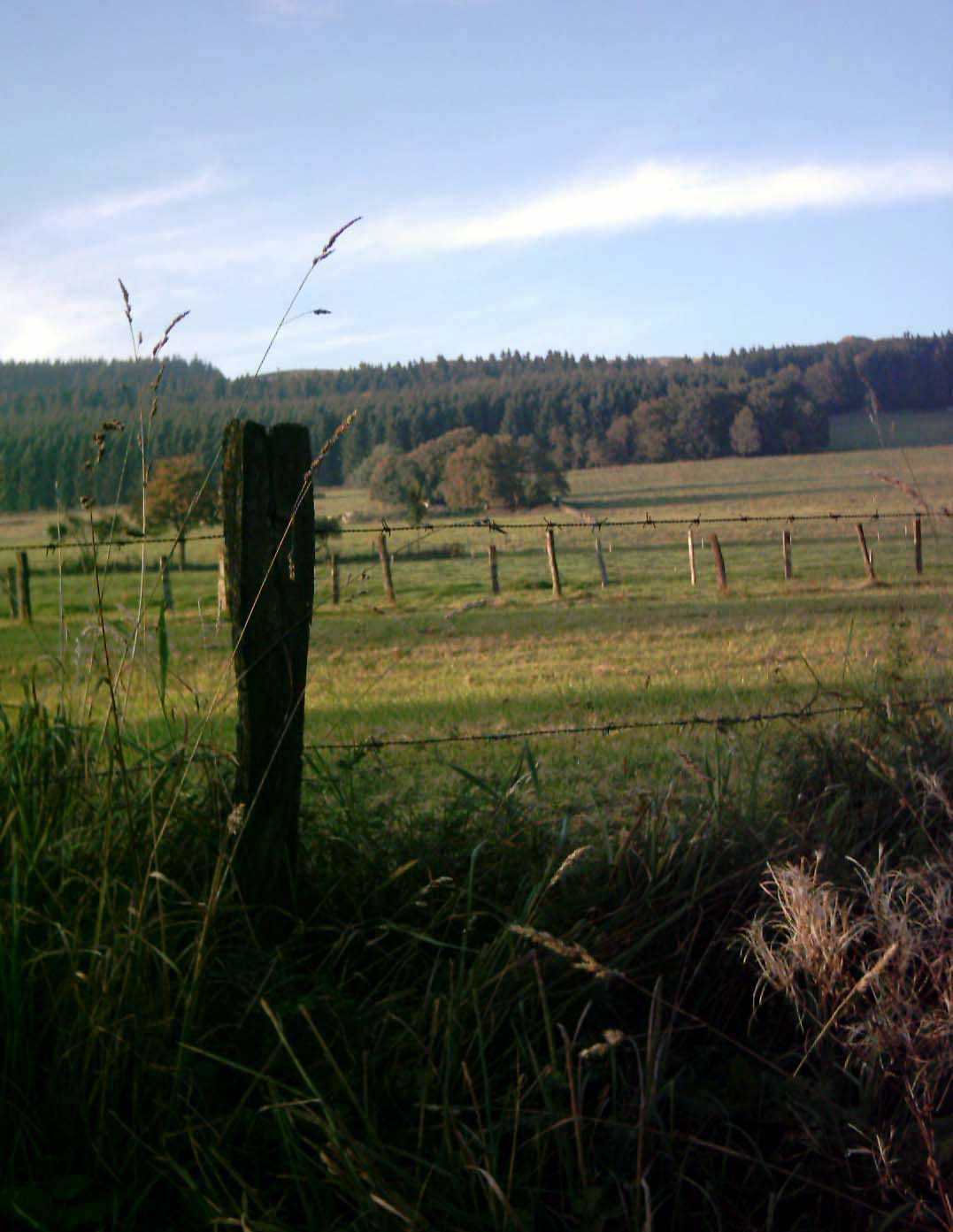 Wunderschöne Herbstlandschaft!